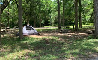 Steve & Ashley  G.'s photo at Buescher State Park Campground near Burton, TX