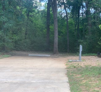 Camper-submitted photo from Buescher State Park