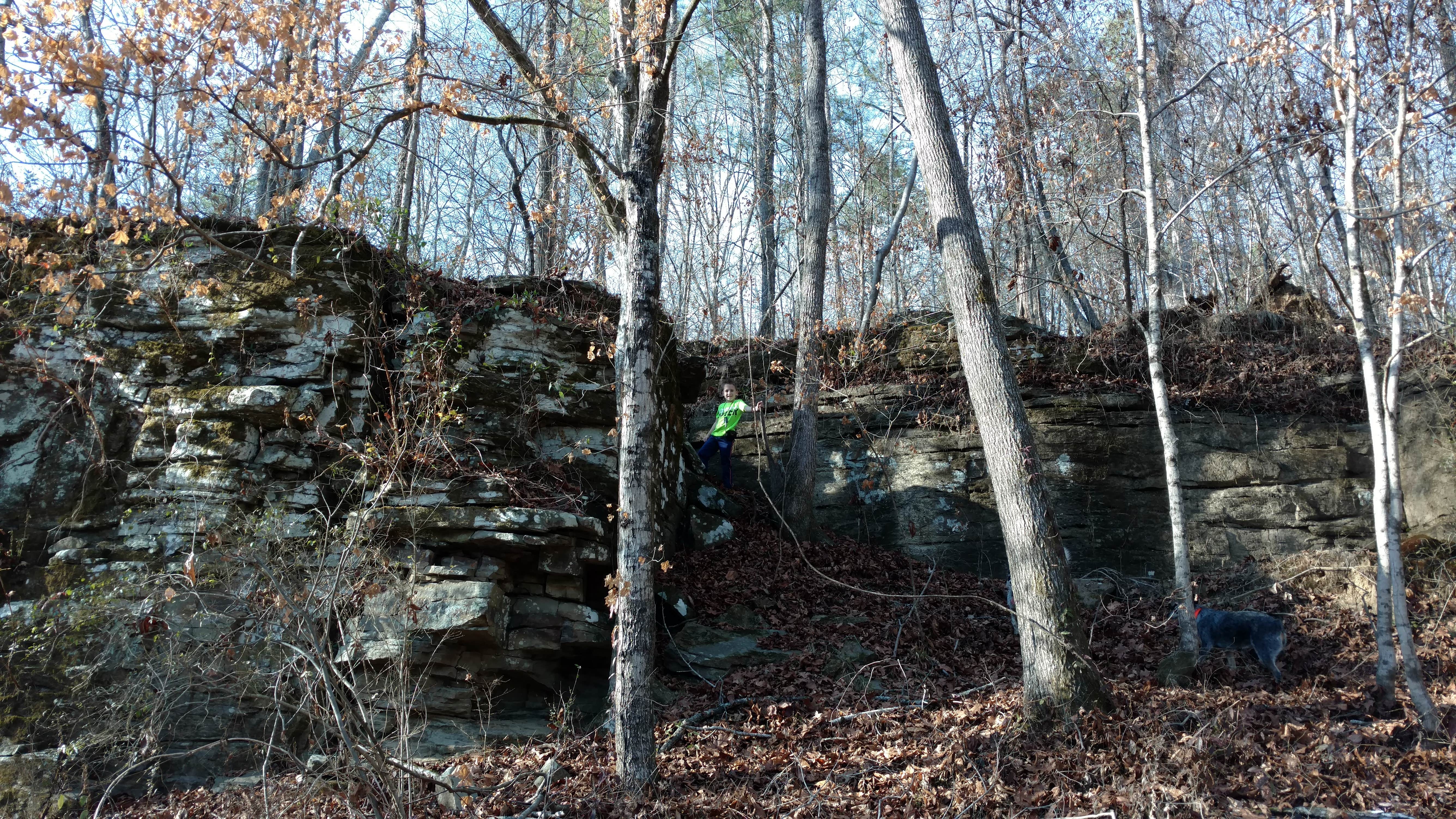 Camper-submitted photo at Windrock Campground near Harriman, TN