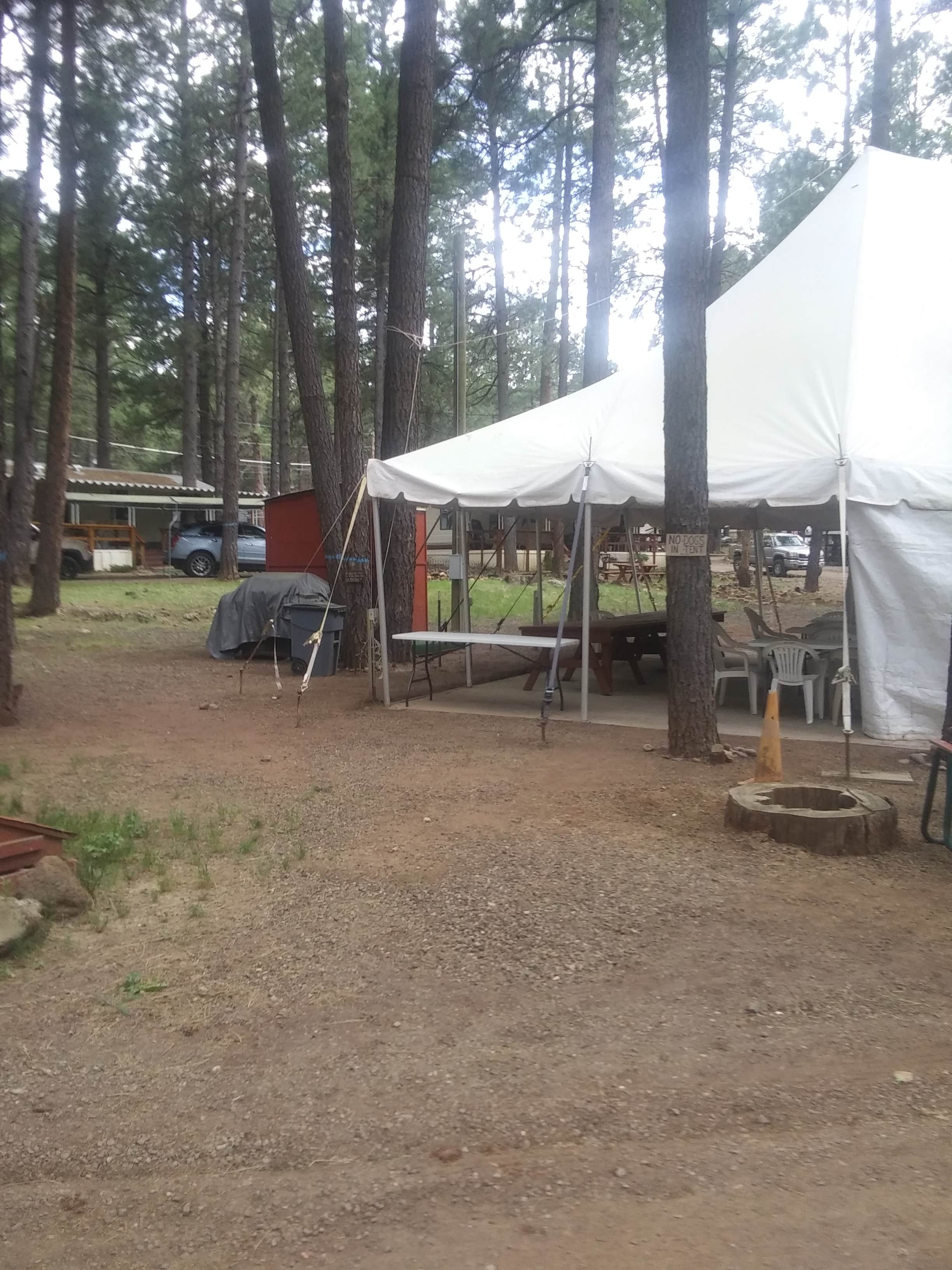 Camper submitted image from Kit Carson RV Park - 3