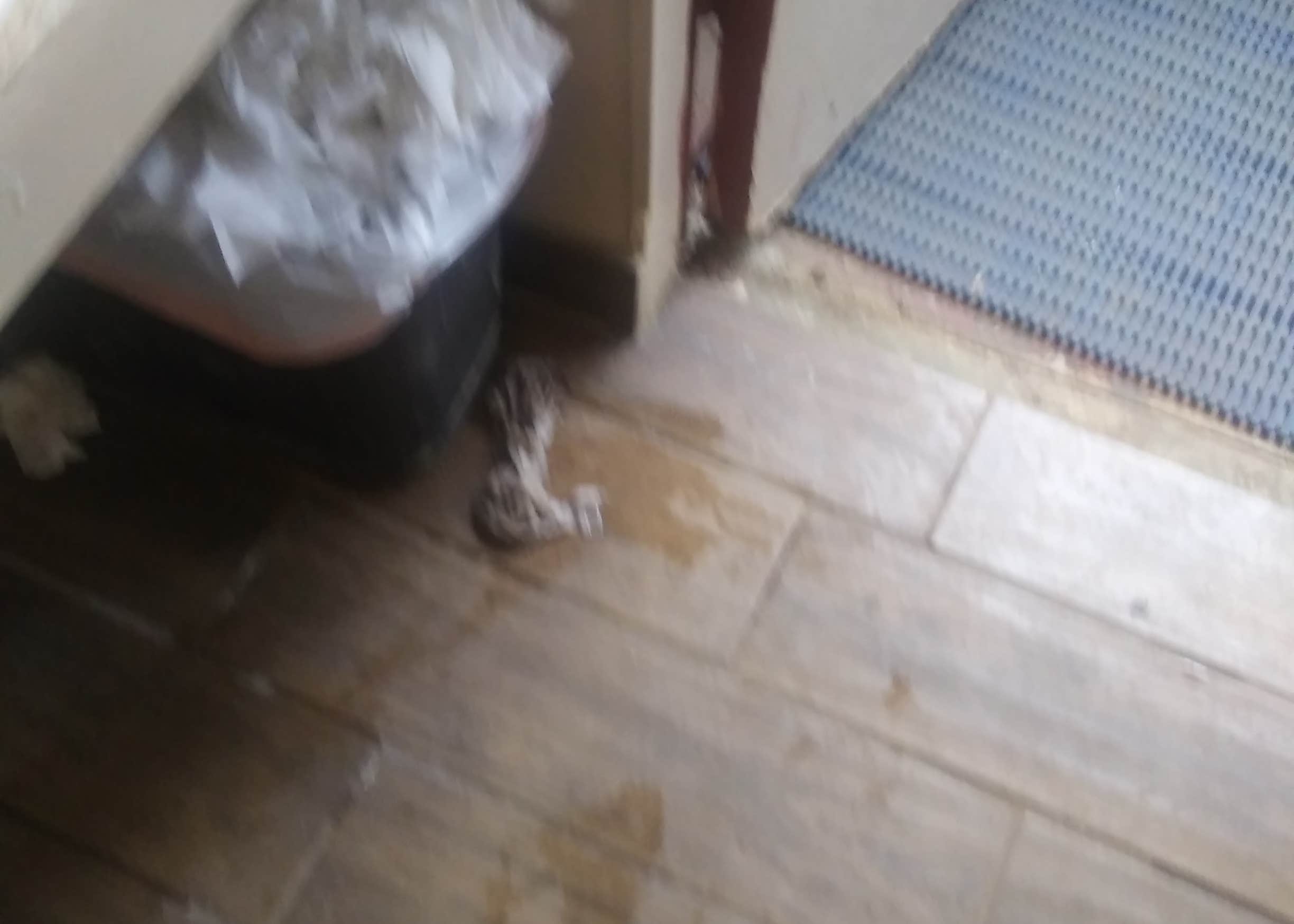 Kit Carson RV Park Camping The Dyrt