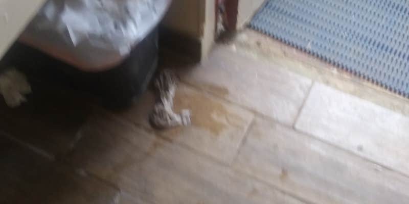 Camper submitted image from Kit Carson RV Park