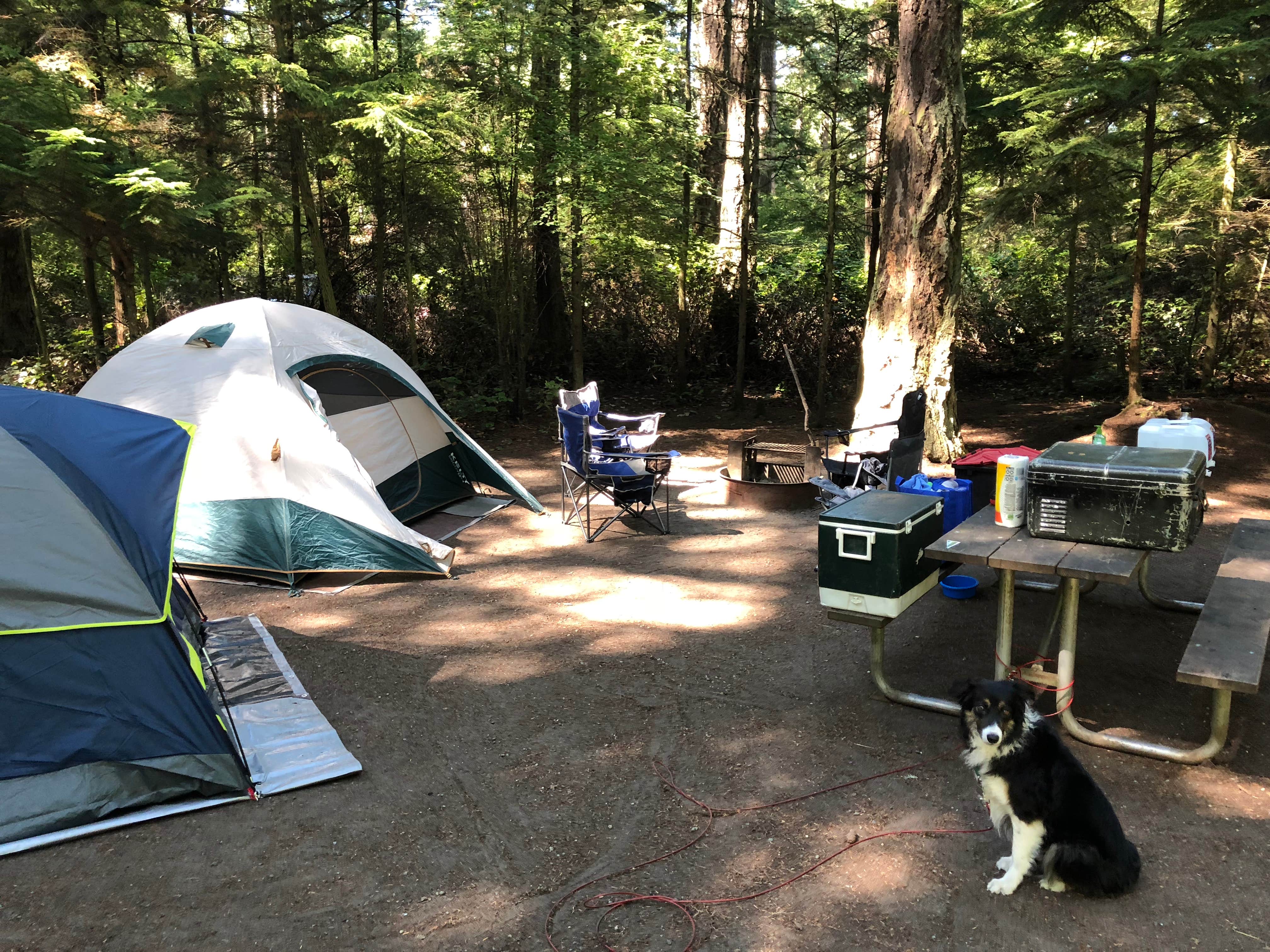 Christopher D.'s photo of tent camping at Fort Ebey State Park Campground near Everett, WA