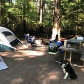 Review photo of Fort Ebey State Park by Christopher D., June 16, 2019