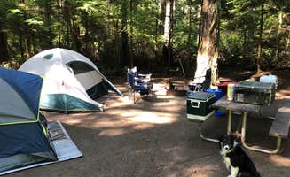 Christopher D.'s photo of tent camping at Fort Ebey State Park Campground near Edmonds, WA