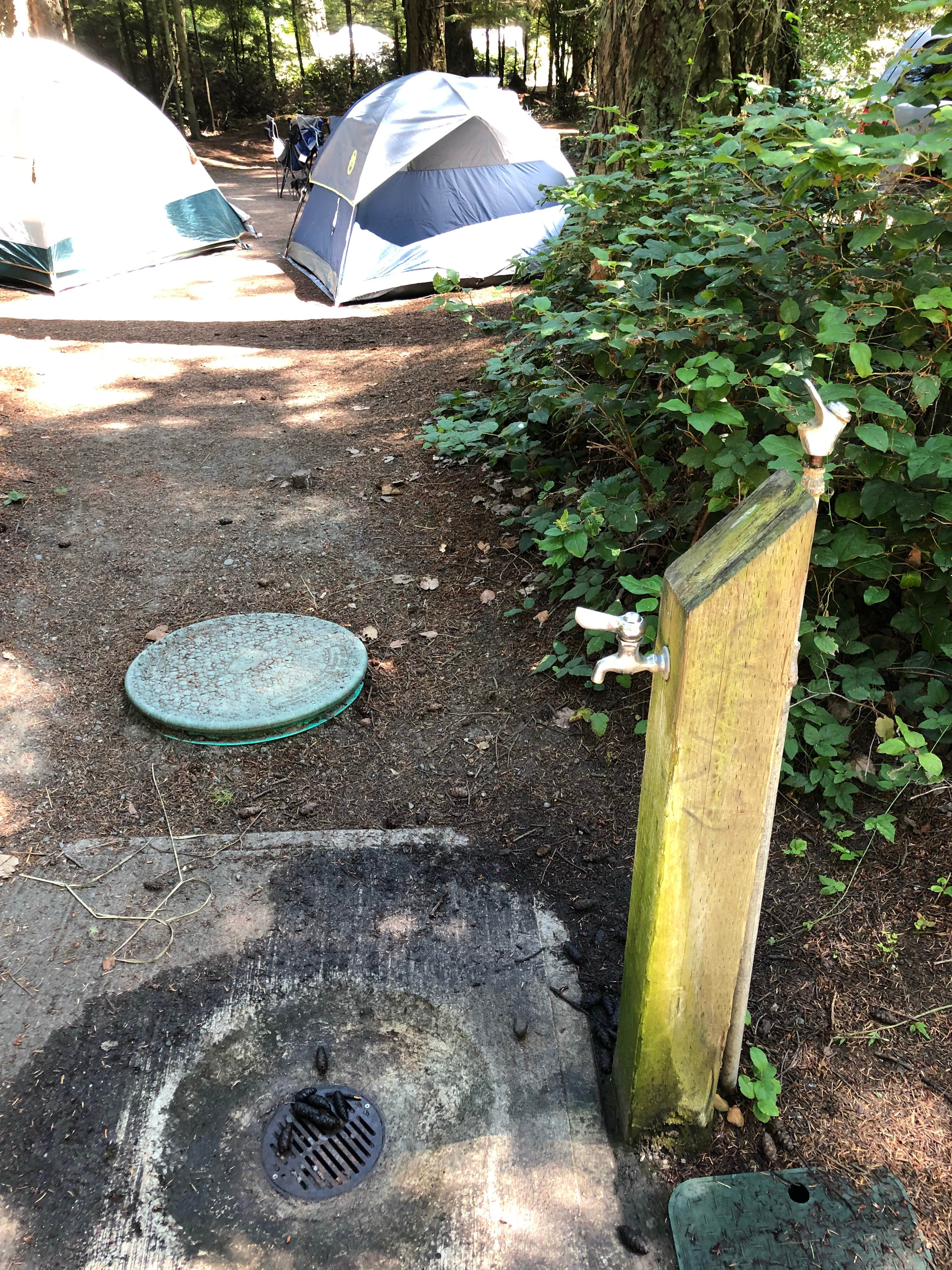 Camper-submitted photo at Fort Ebey State Park Campground near Freeland, WA