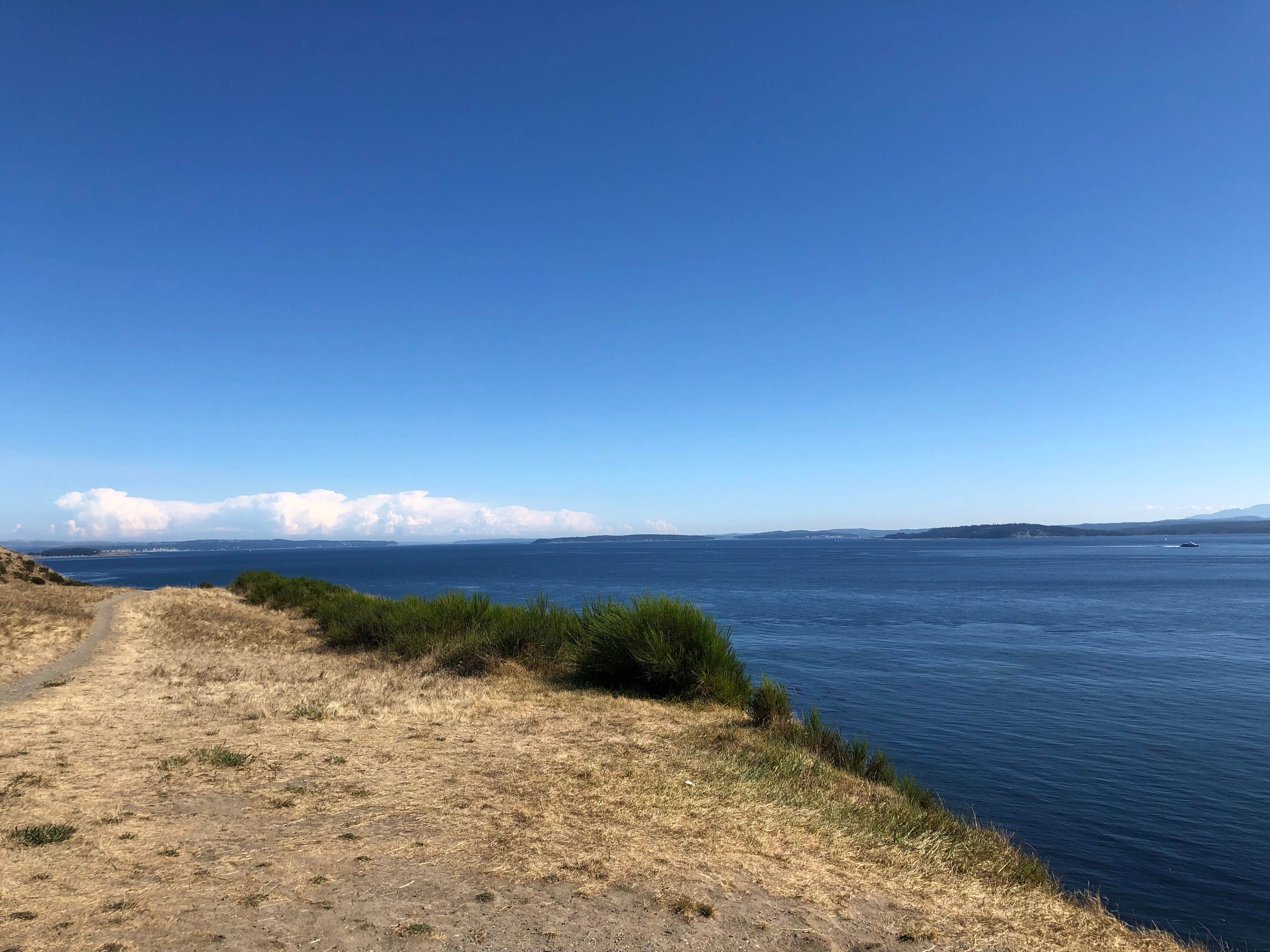 Camper submitted image from Fort Ebey State Park - 4