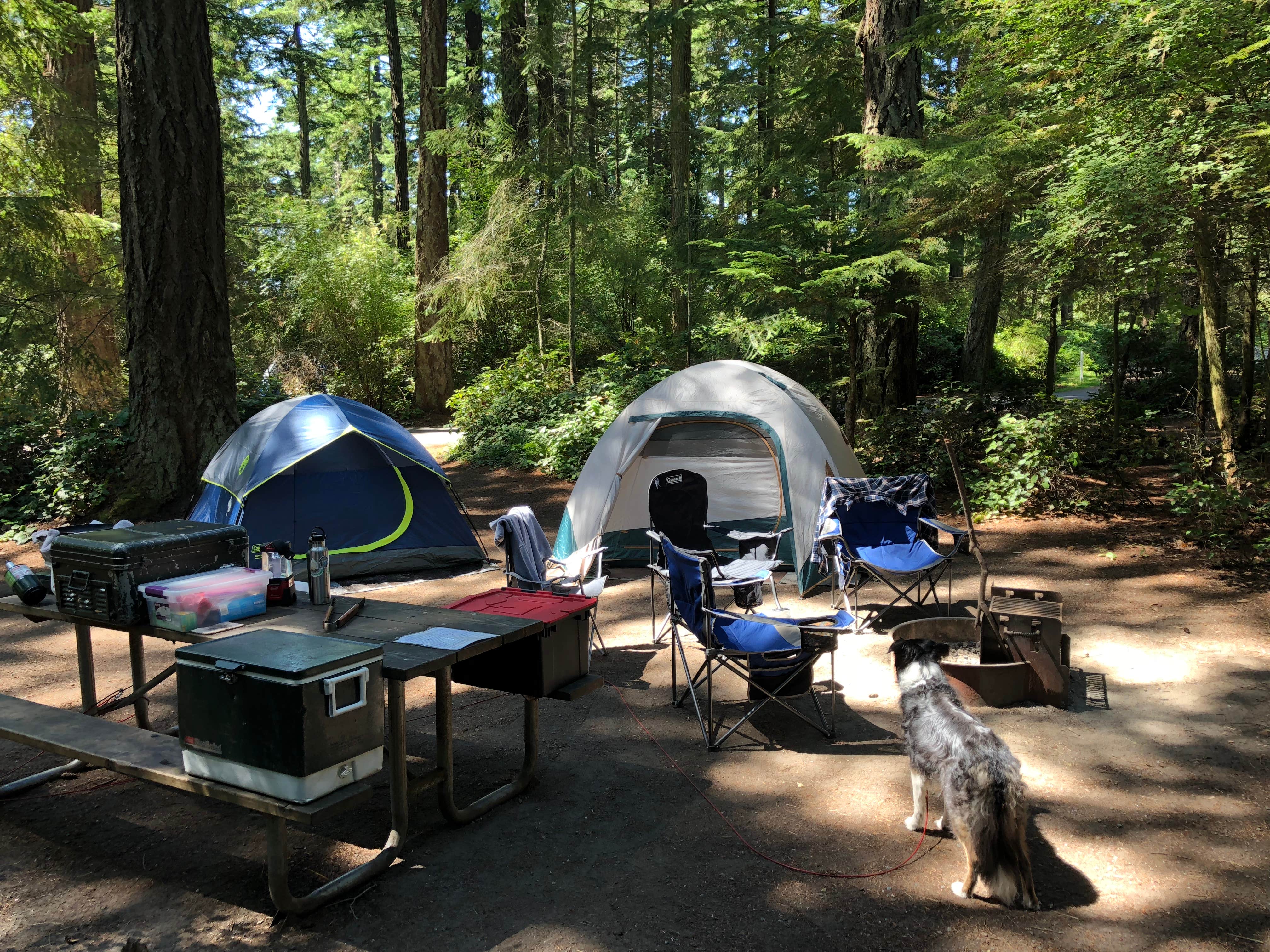 Christopher D.'s photo at Fort Ebey State Park Campground near Keystone Harbor