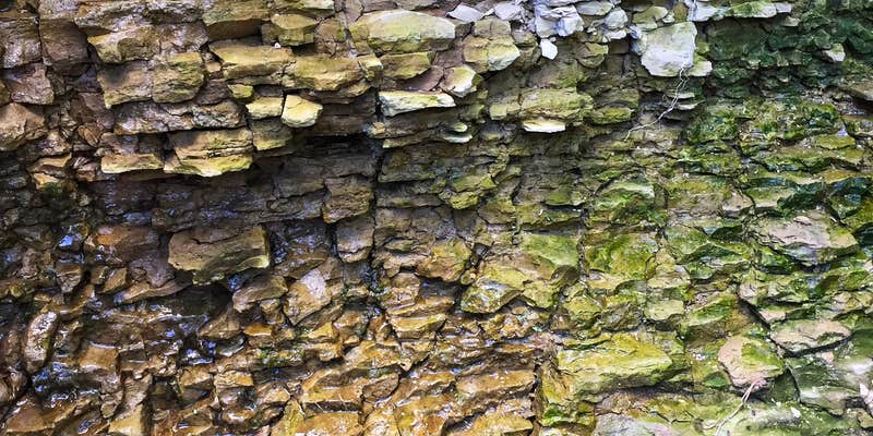 Camper submitted image from Chase State Fishing Lake