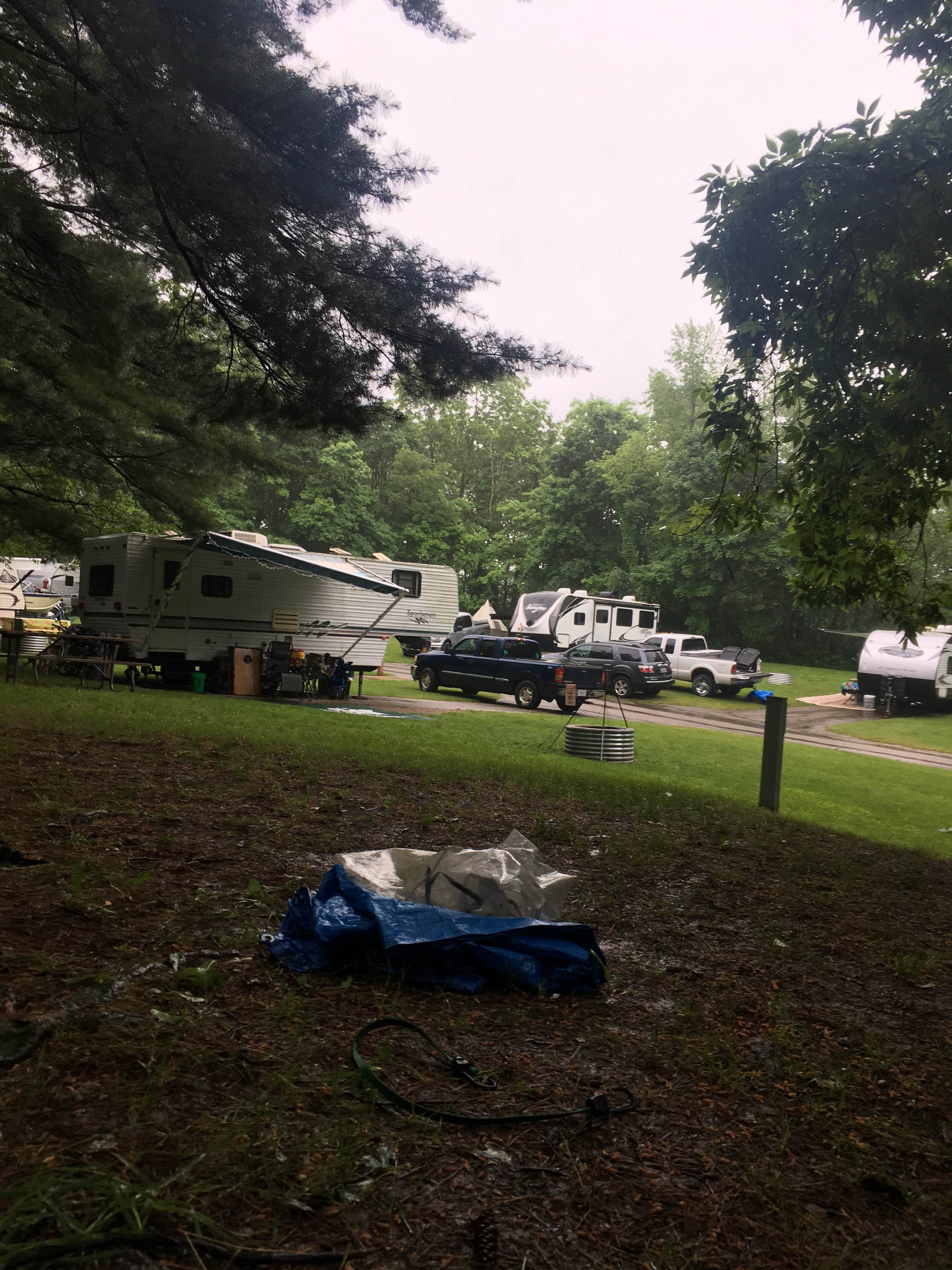 Camper submitted image from W. J. Hayes State Park Campground - 4