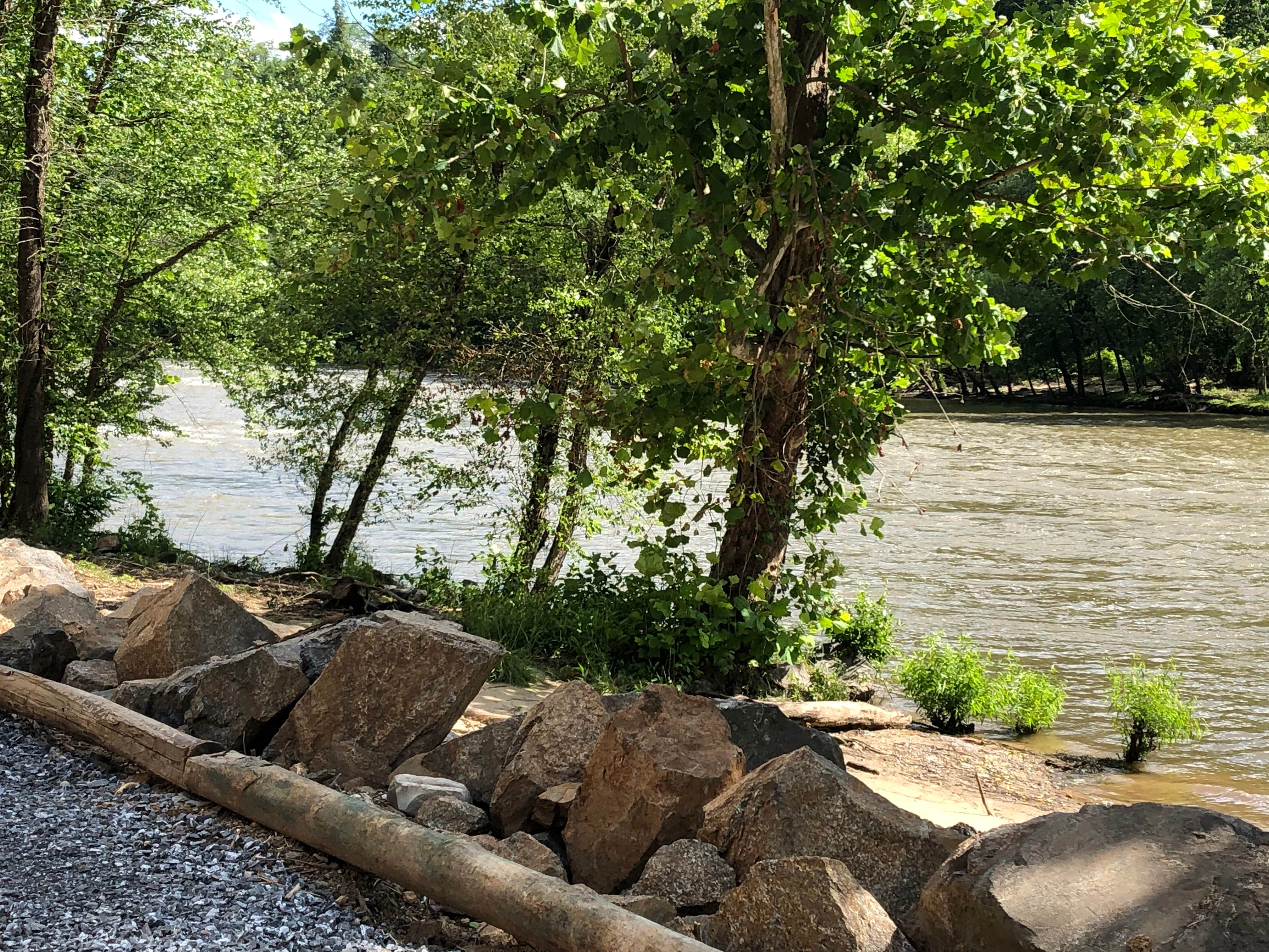 Camper-submitted photo at Camp Driftwood Asheville near Swannanoa, NC