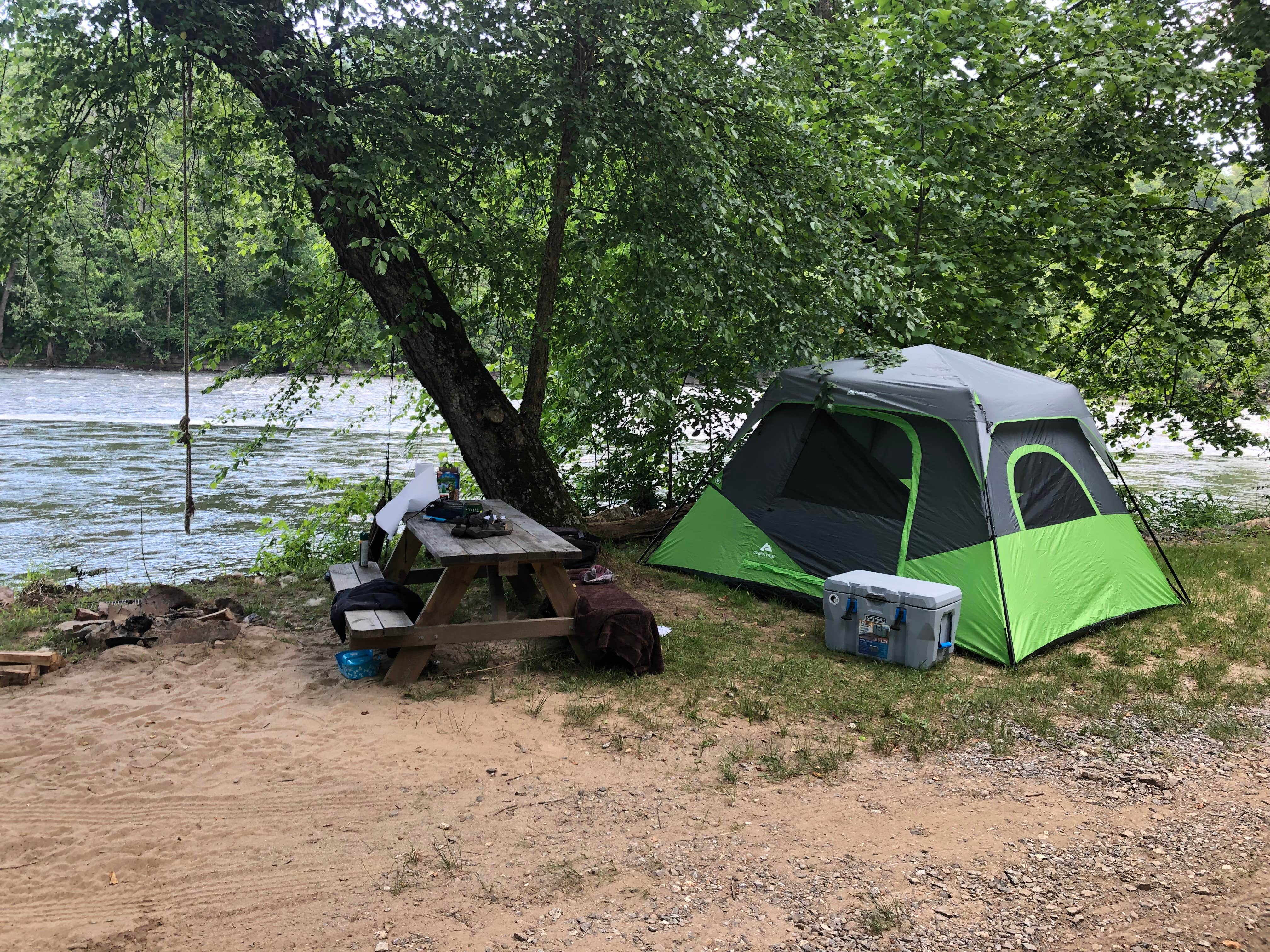 Camper submitted image from Camp Driftwood - 1