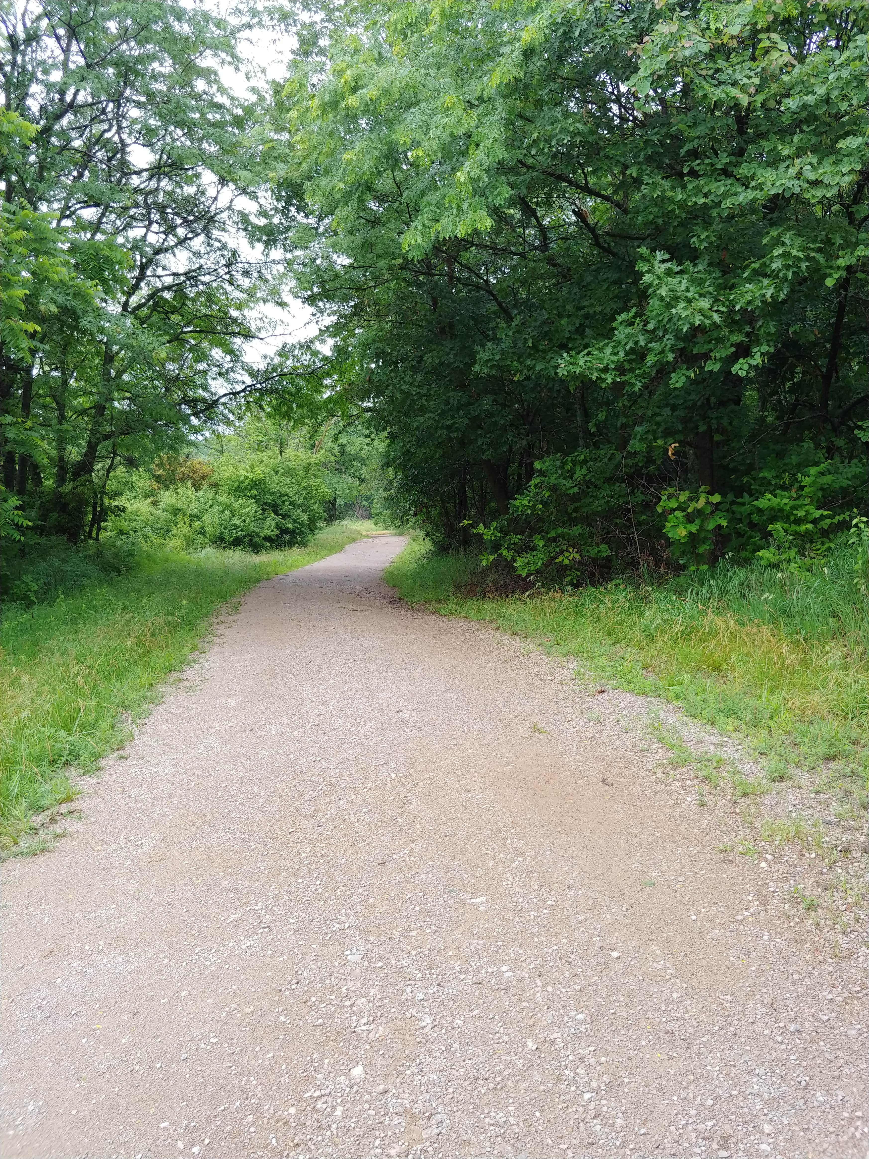 Camper submitted image from Smiths Fork Recreation Area Camping - 4