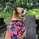 Review photo of Hickory Run State Park Campground by Christa I., June 16, 2019