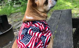 Christa I.'s photo of camping with pets at Hickory Run State Park Campground near Andreas, PA