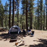 Review photo of Heart Bar Campground by Christopher D., June 16, 2019