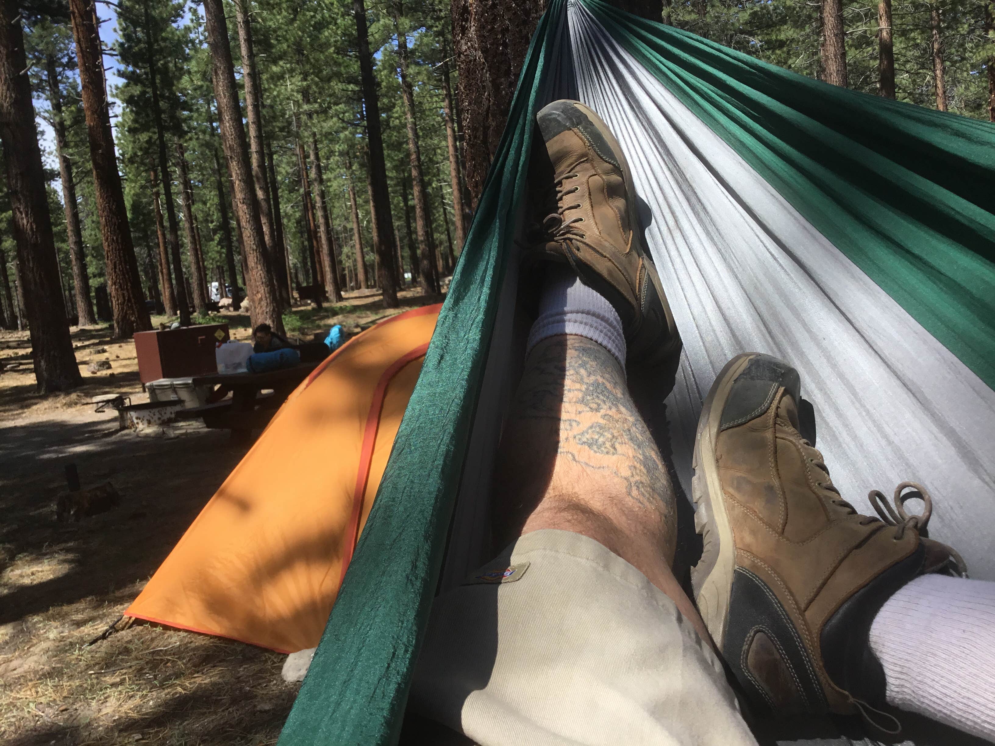 David S.'s photo at Old Shady Rest Campground near Mammoth Lakes, CA