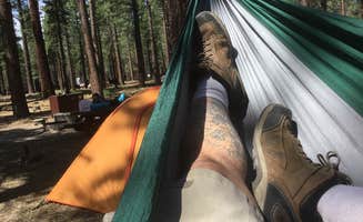 David S.'s photo at Old Shady Rest Campground near Inyo National Forest