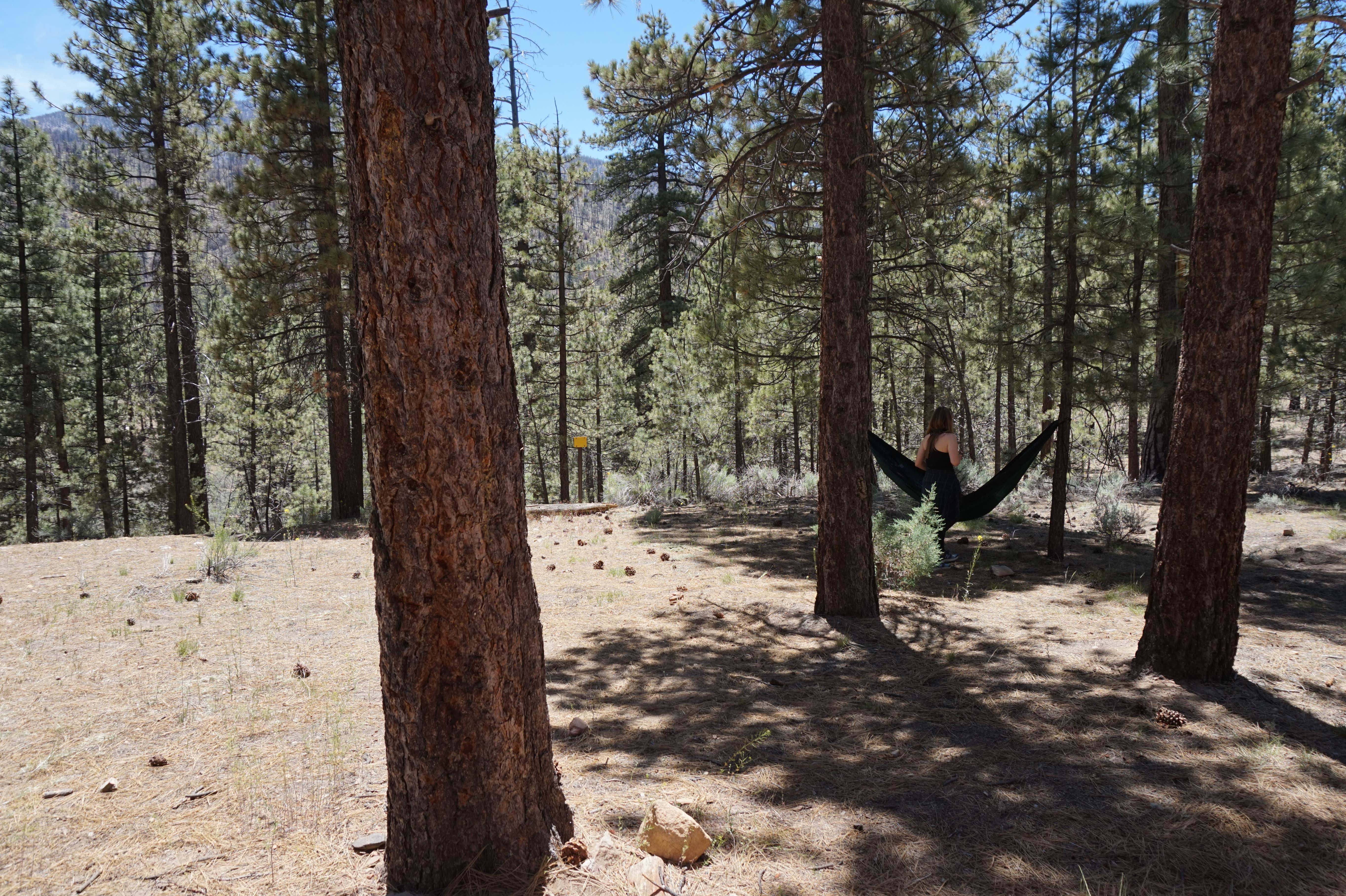 Camper-submitted photo at Heart Bar Campground near Calimesa, CA