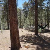 Review photo of Heart Bar Campground by Christopher D., June 16, 2019