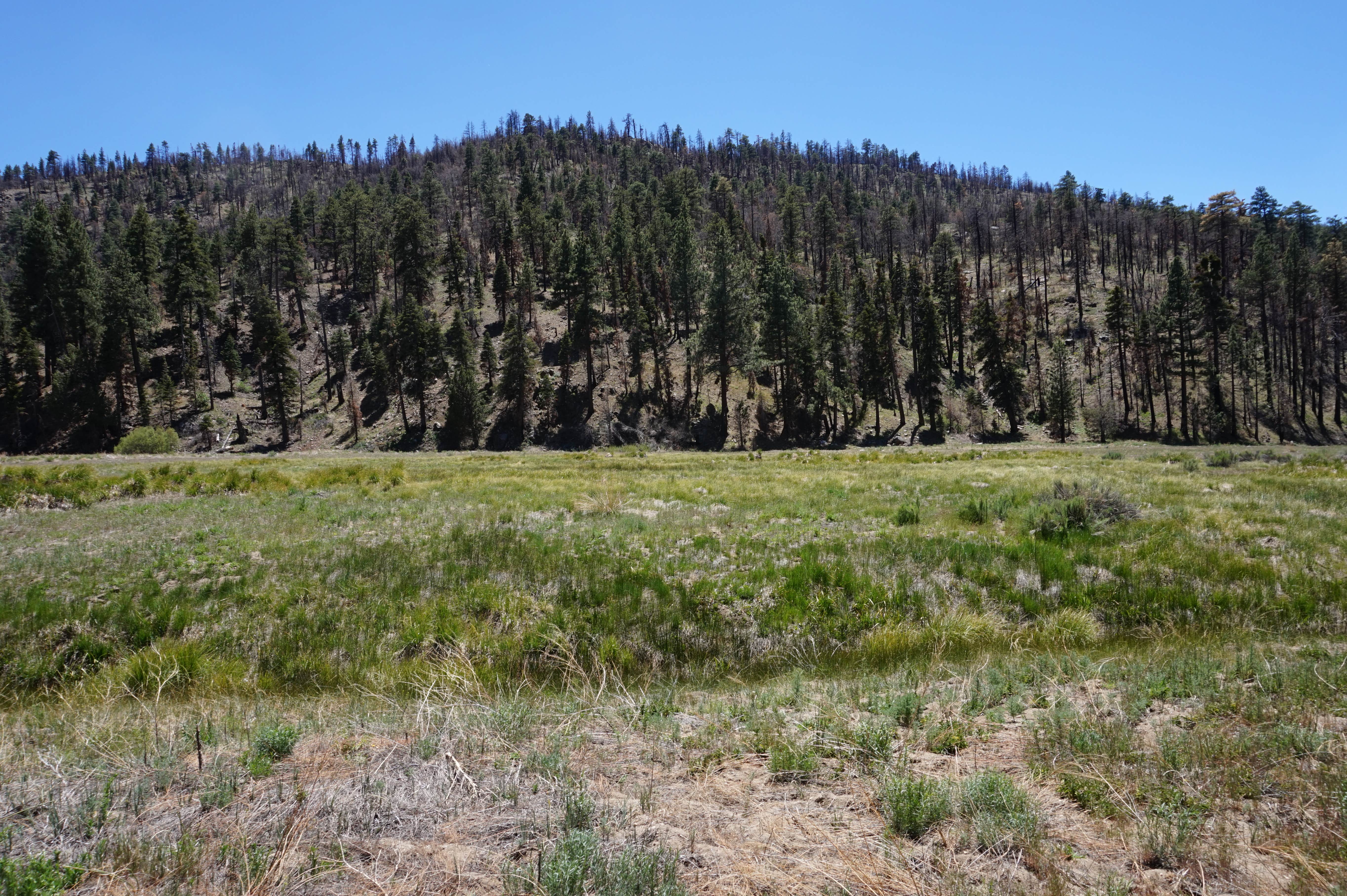 Camper-submitted photo at Heart Bar Campground near Calimesa, CA