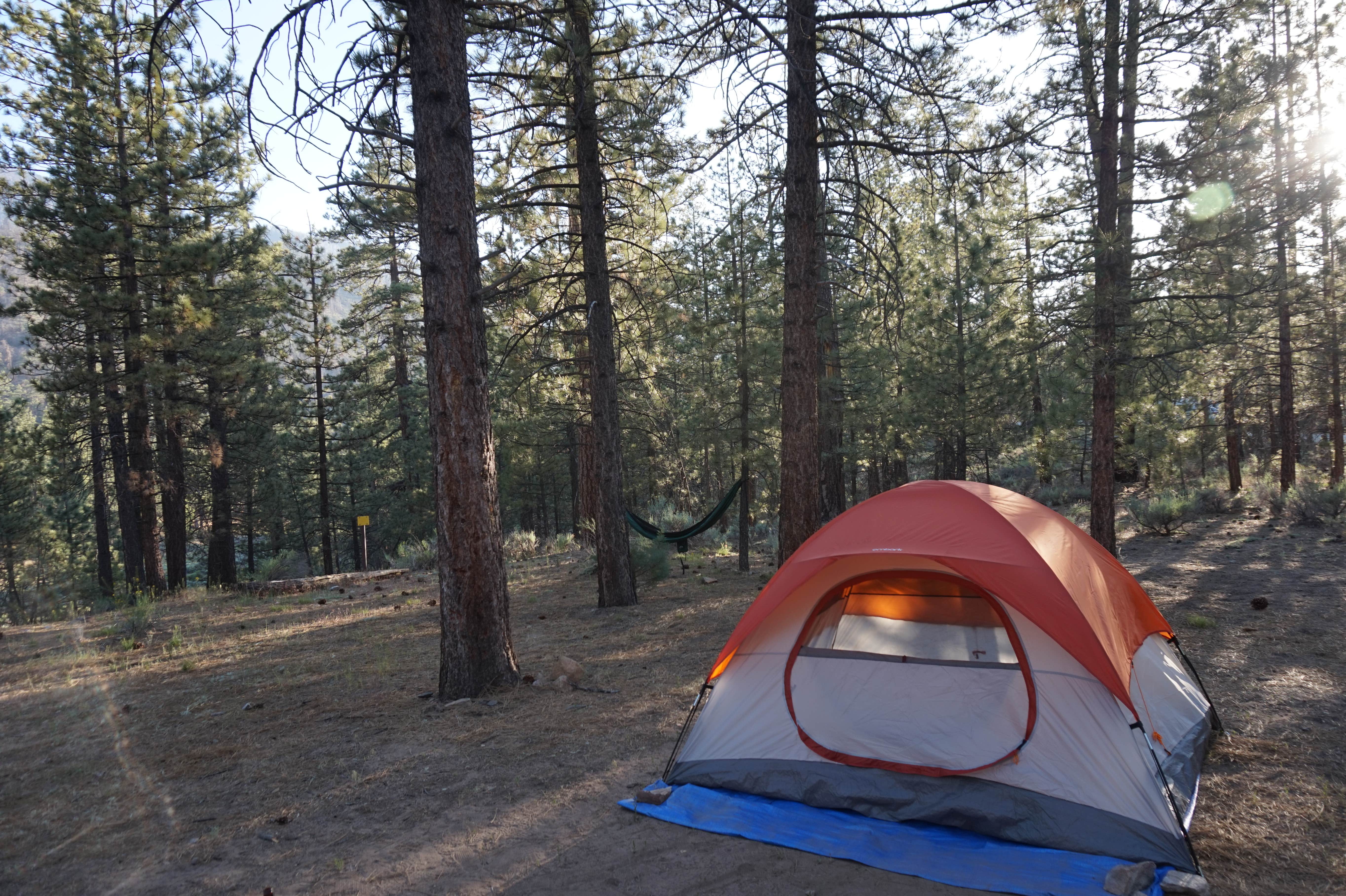 Christopher D.'s photo at Heart Bar Campground near Big Bear City, CA
