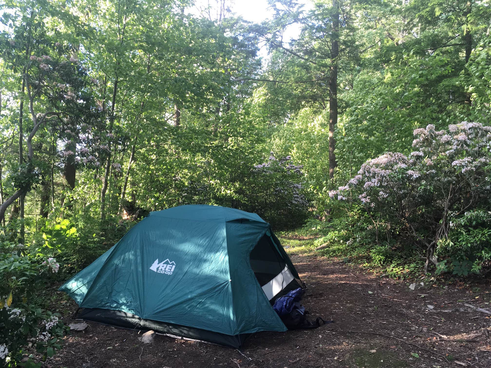 Jess M.'s photo at Clarence Fahnestock State Park Campground near Highland Mills, NY