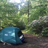 Review photo of Clarence Fahnestock State Park — Clarence Fahnestock Memorial State Park by Jess M., June 16, 2019