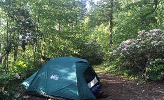Jess M.'s photo at Clarence Fahnestock State Park Campground near Salisbury Mills, NY