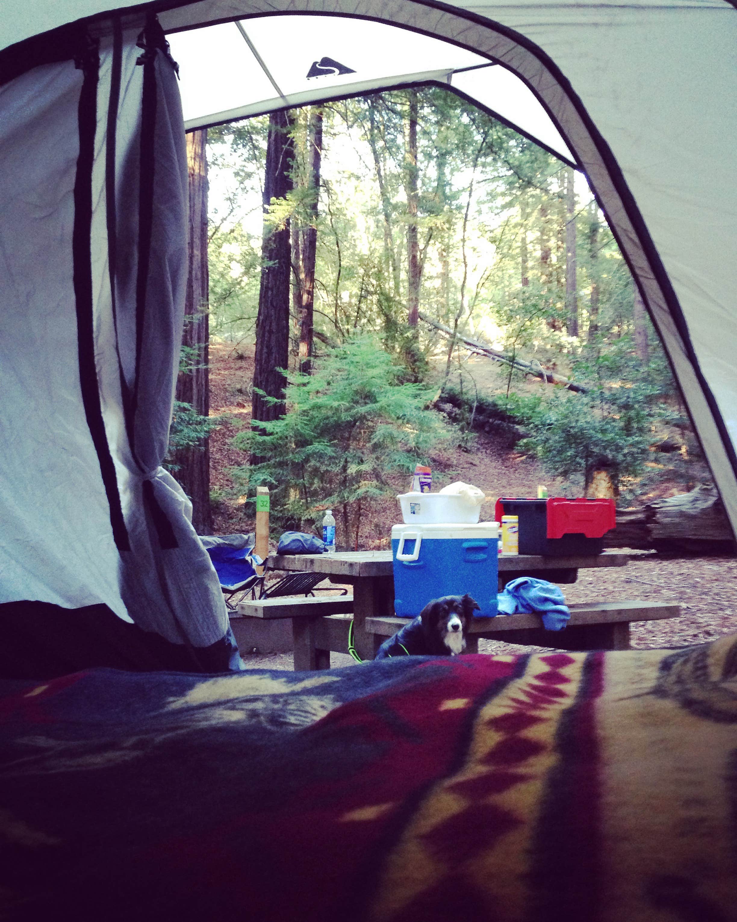 Christopher D.'s photo of tent camping at Ventana Campground near Fort Hunter Liggett, CA