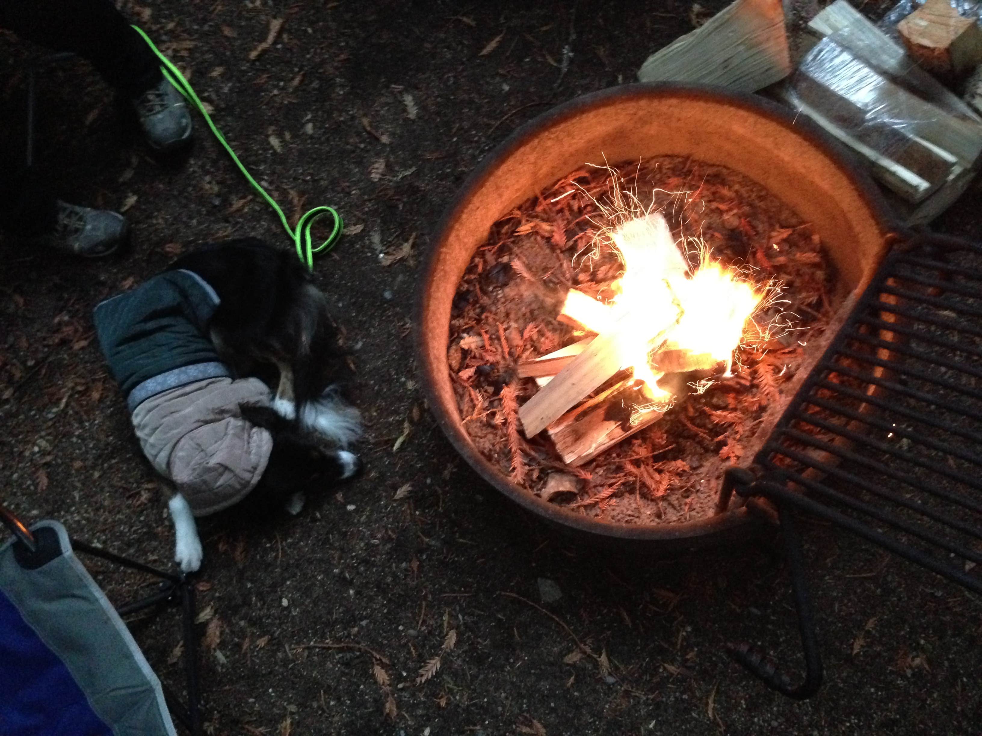 Christopher D.'s photo of camping with pets at Ventana Campground near Carmel Valley Village, CA