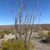 Review photo of Interior Primitive Sites — Big Bend Ranch State Park by Steve & Ashley  G., May 26, 2019