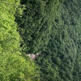 Review photo of Blackwater Falls State Park Campground by David F., June 16, 2019