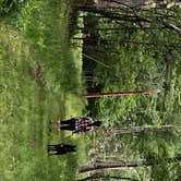 Review photo of Blackwater Falls State Park Campground by David F., June 16, 2019