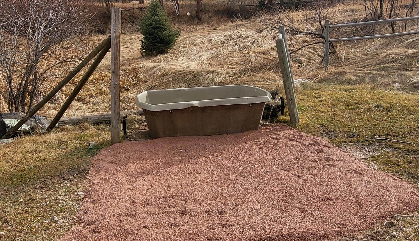 Camper submitted image from Willow Creek Horse Camp - 2