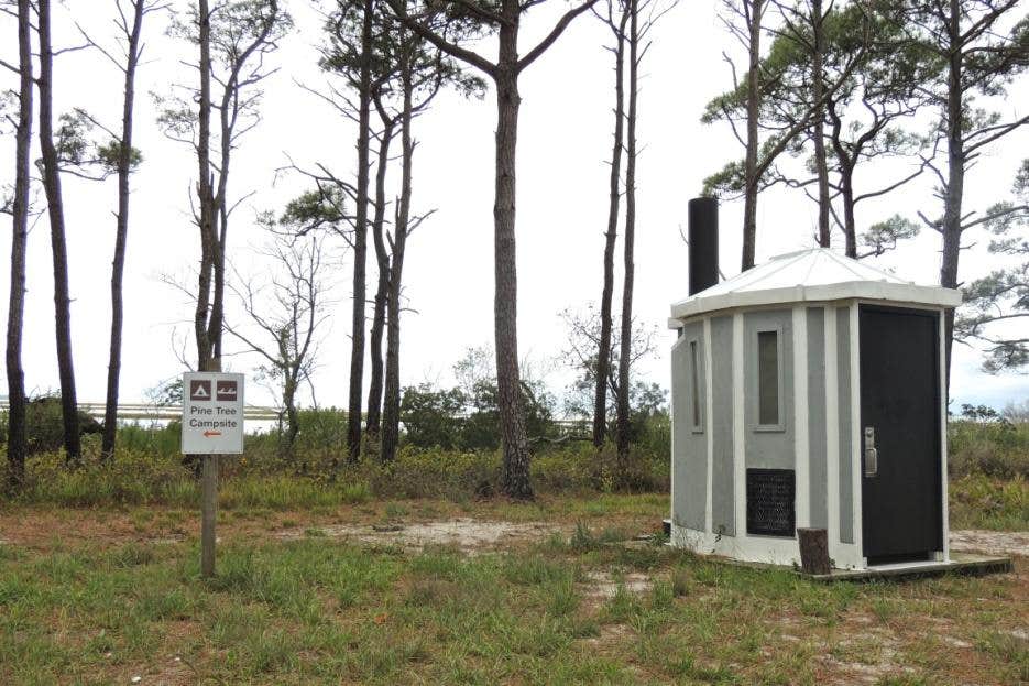 Camper-submitted photo at Pine Tree Backcountry Site — Assateague Island National Seashore near Rehoboth Beach, DE