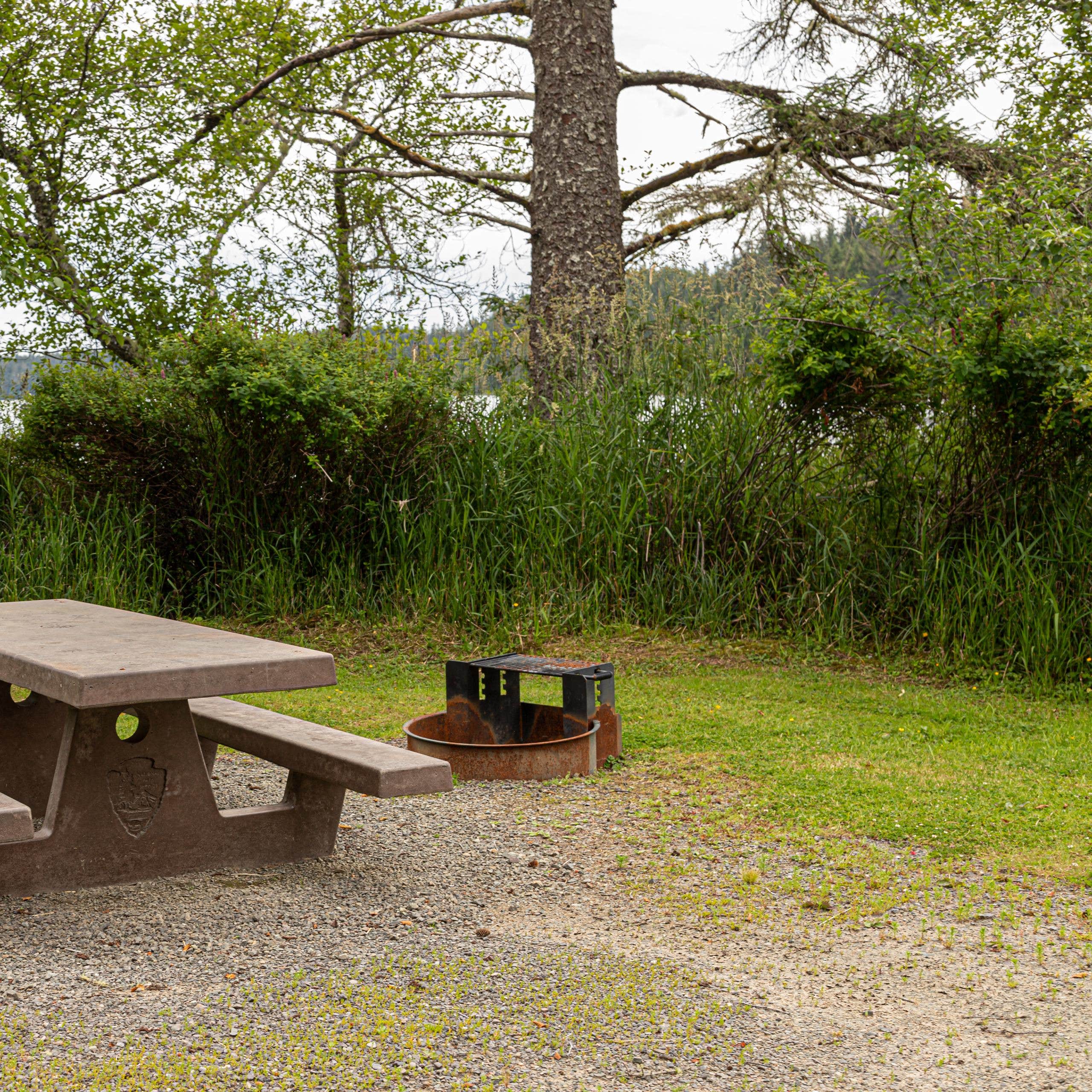 Ozette Campground — Olympic National Park
