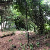 Review photo of Hobuck Resort and Beach Area by Tia H., June 16, 2019