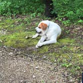 Review photo of Shakamak State Park — Shakamak Prairie Nature Preserve by Ginger T., June 16, 2019