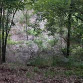 Review photo of COE Lake Ouachita Crystal Springs Campground by Jim H., June 16, 2019