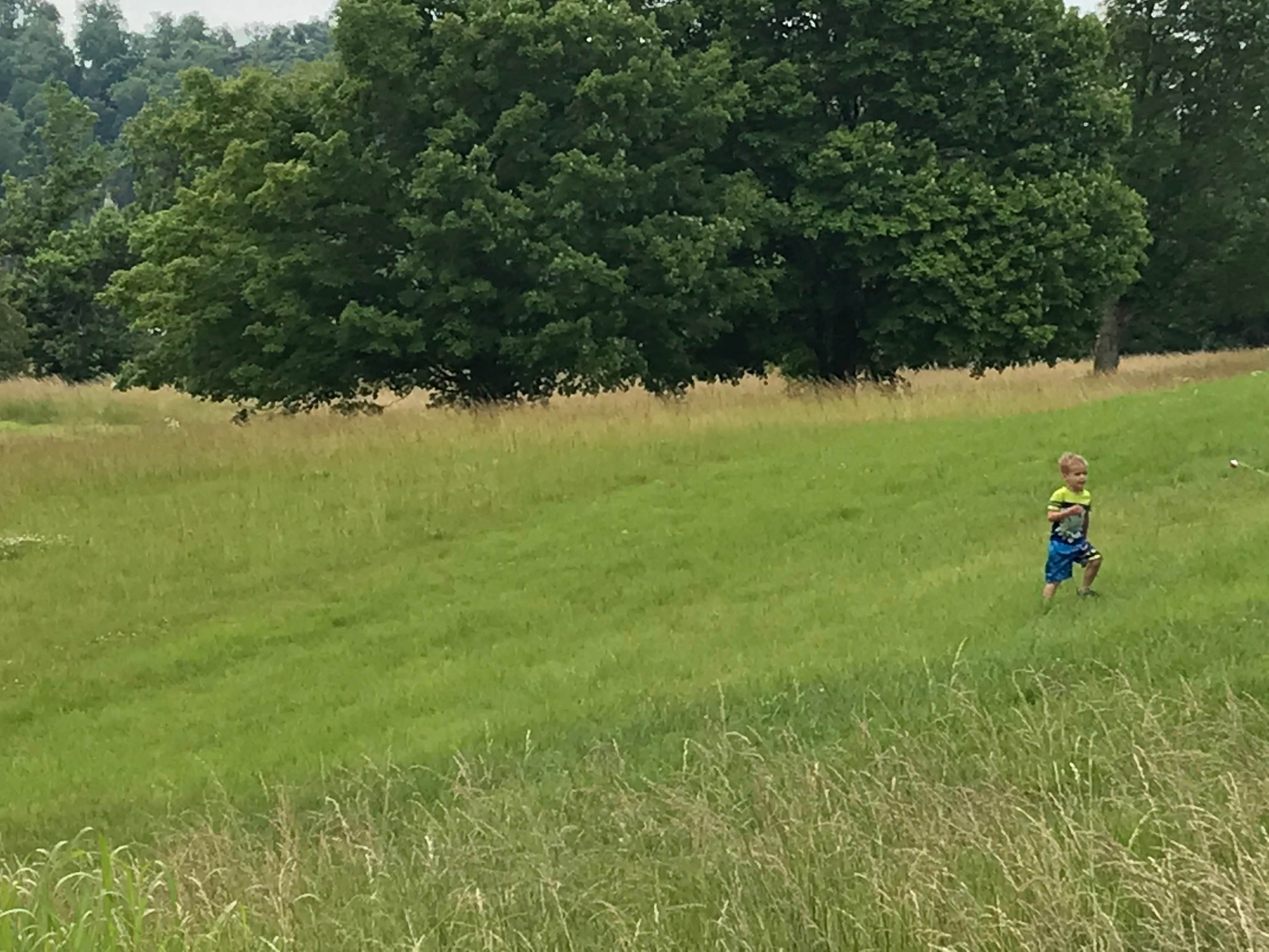 Camper-submitted photo at Rough River Dam State Resort Park near Union Star, KY