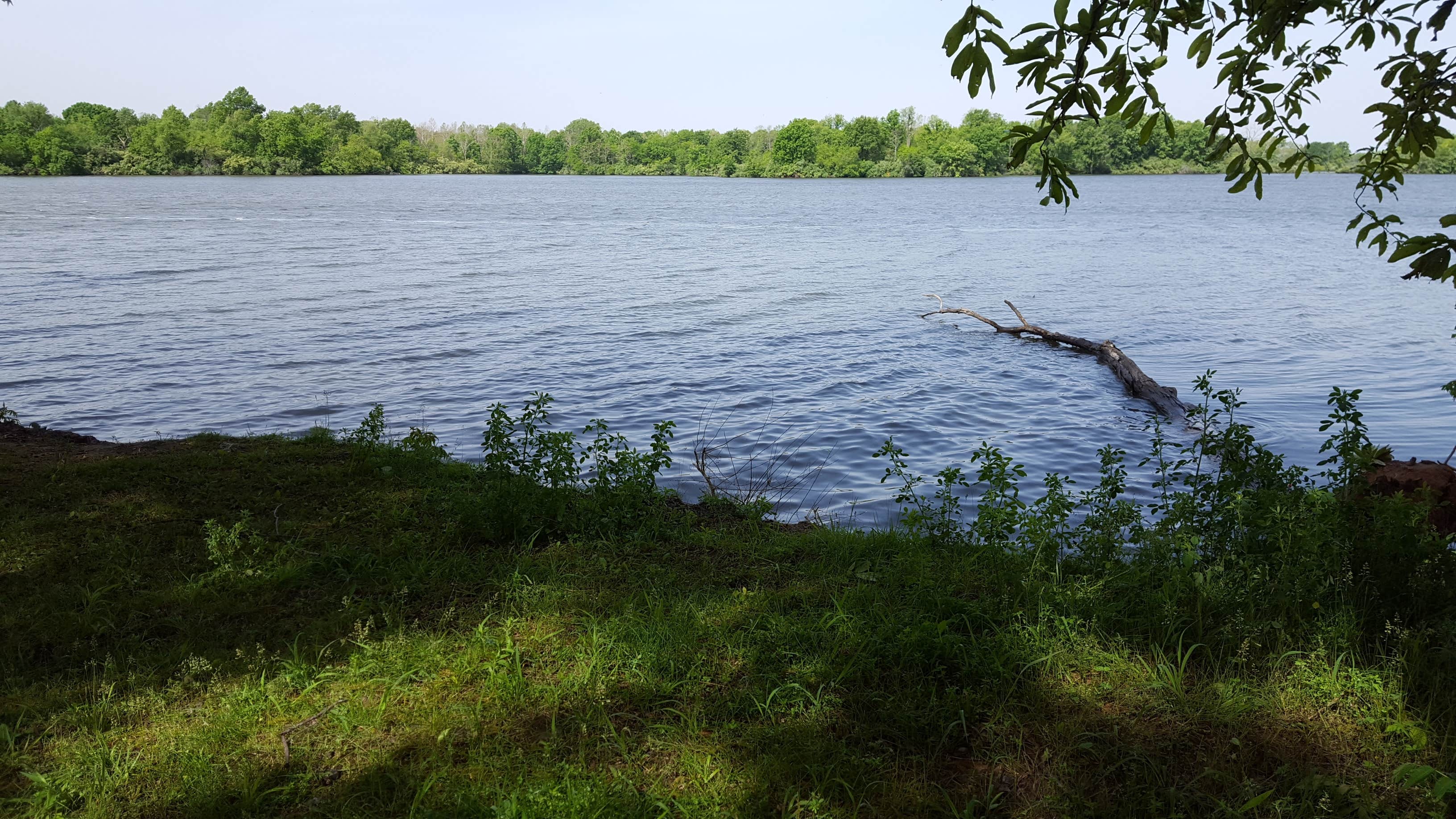 Camper-submitted photo at Sangchris Lake State Park Campground near Hillsboro, IL