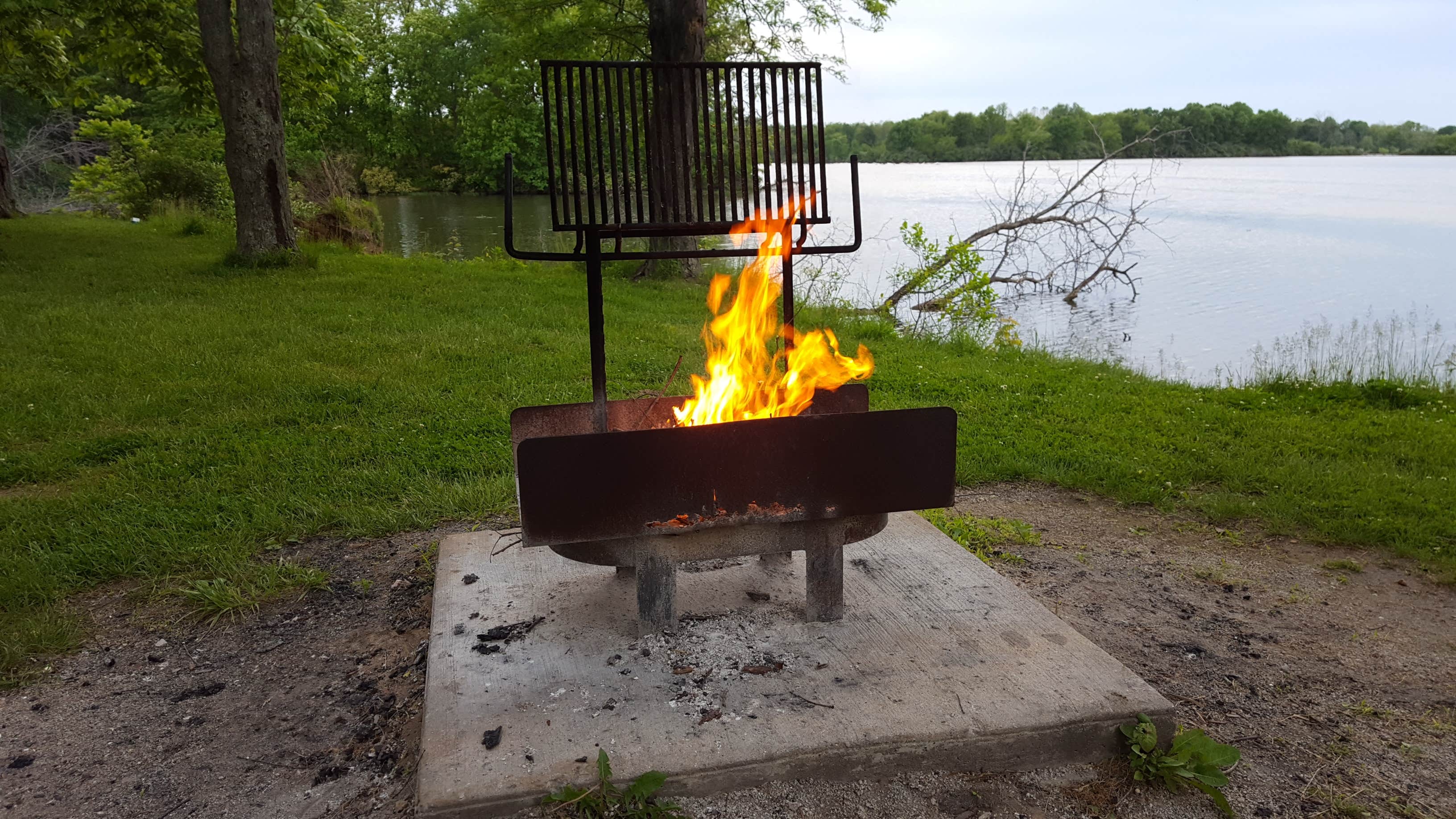 Camper submitted image from Sangchris Lake State Park Campground - 4