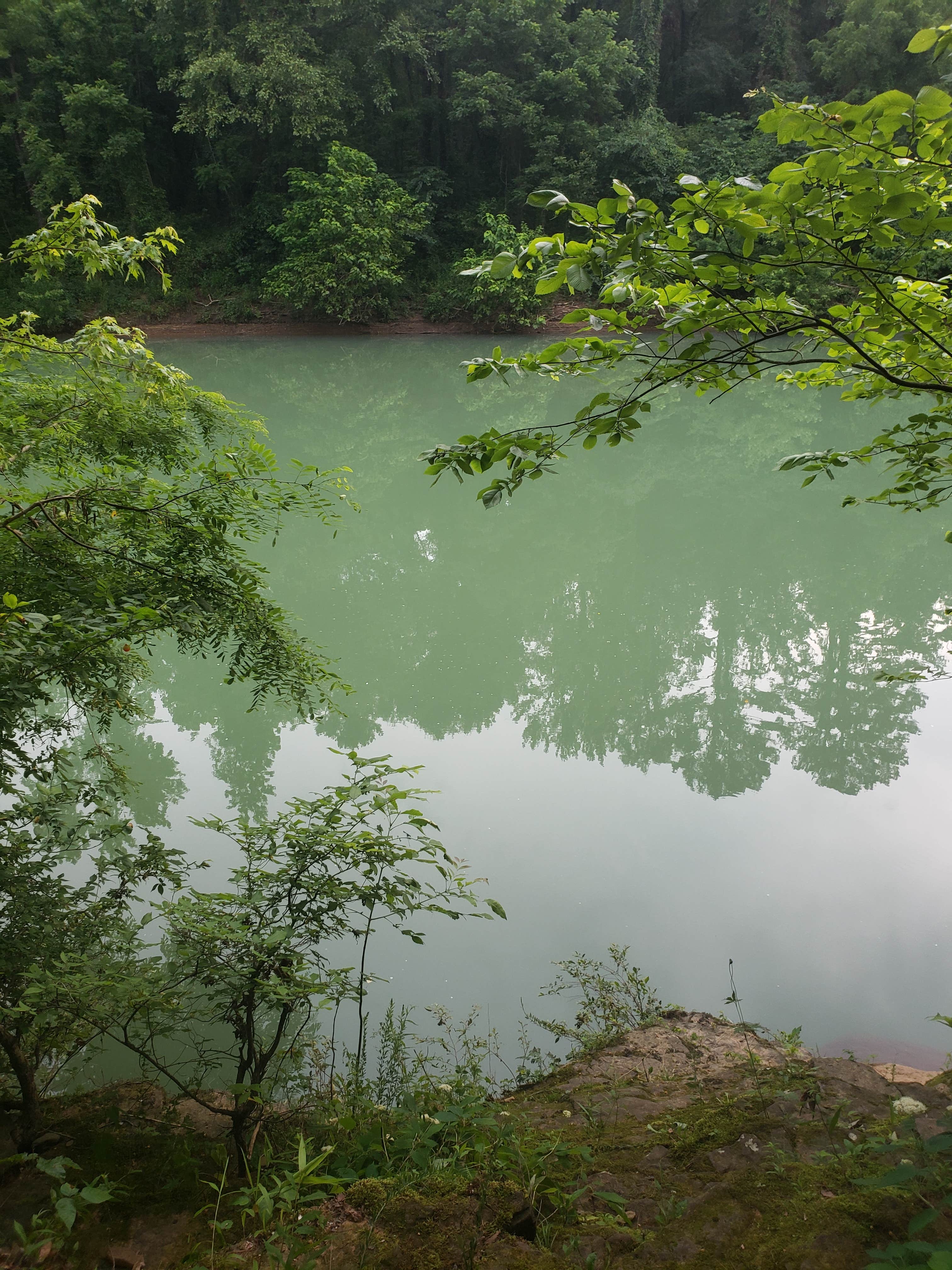 Camper-submitted photo at Long Pool Recreation Area near Dover, AR