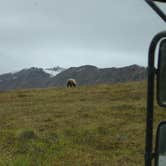 Review photo of Wonder Lake Campground — Denali National Park by Eric N., September 1, 2016