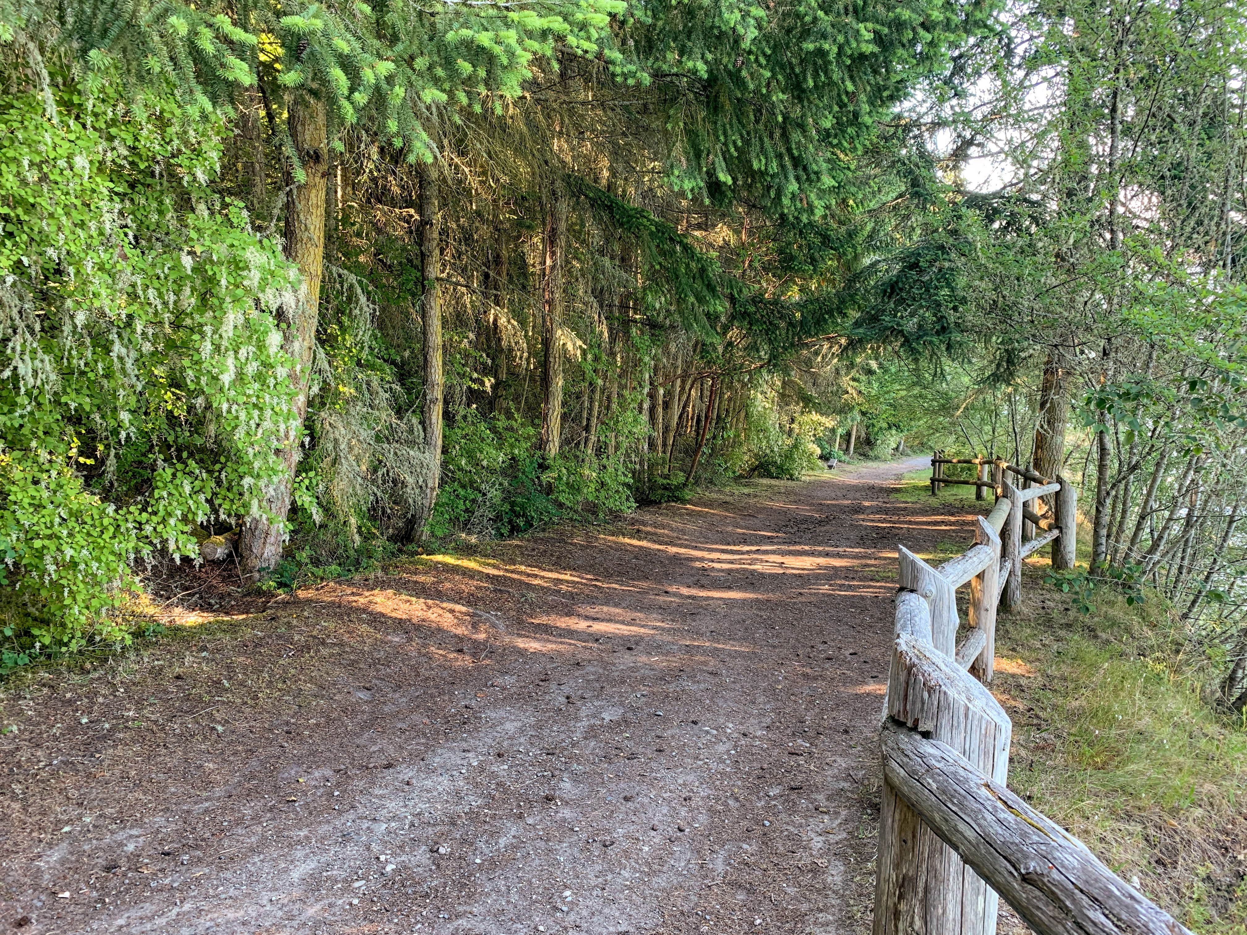 Camper submitted image from Fort Townsend Historical State Park Campground - 2