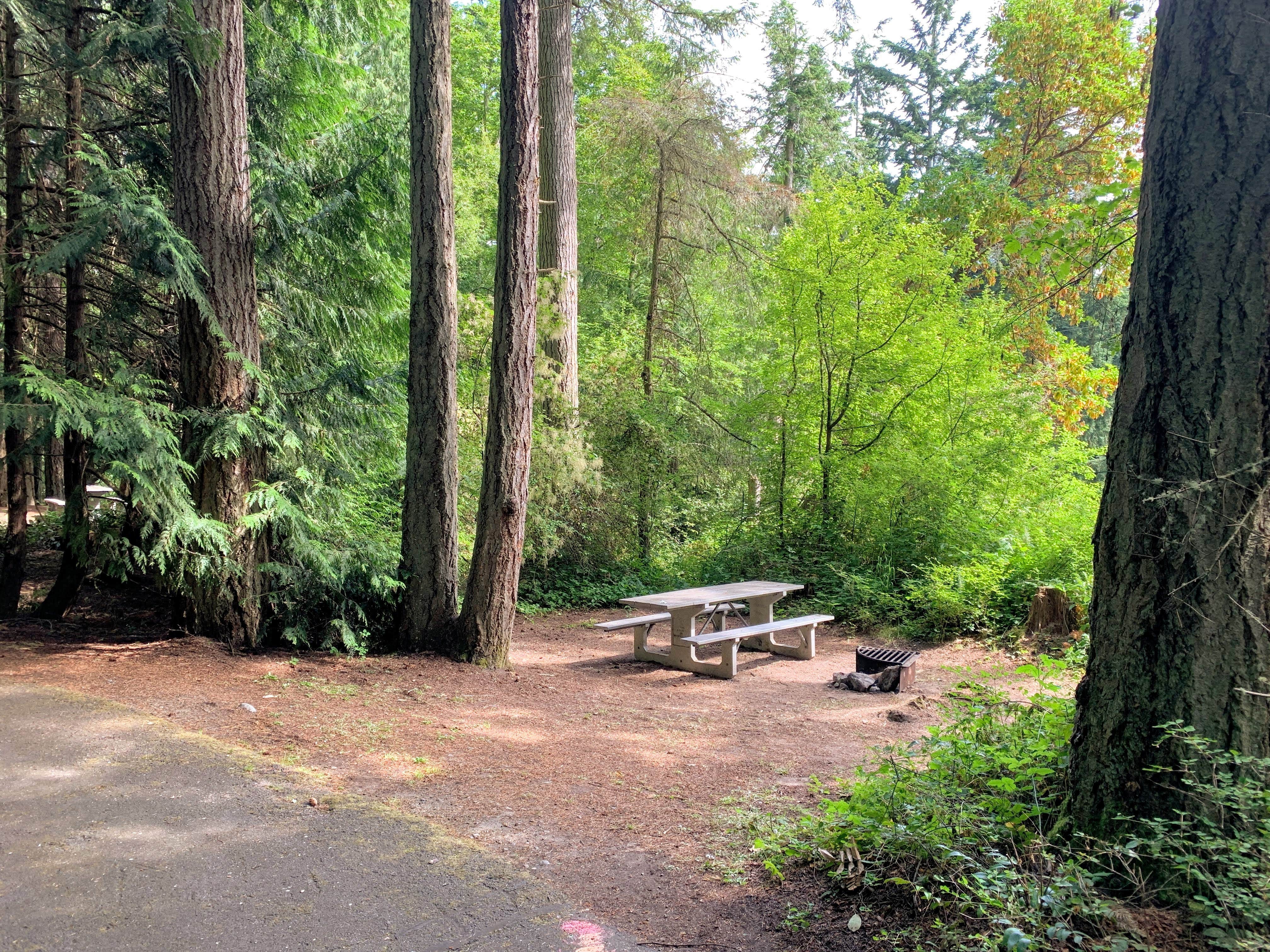 Camper-submitted photo at Fort Townsend Historical State Park Campground near Sequim, WA