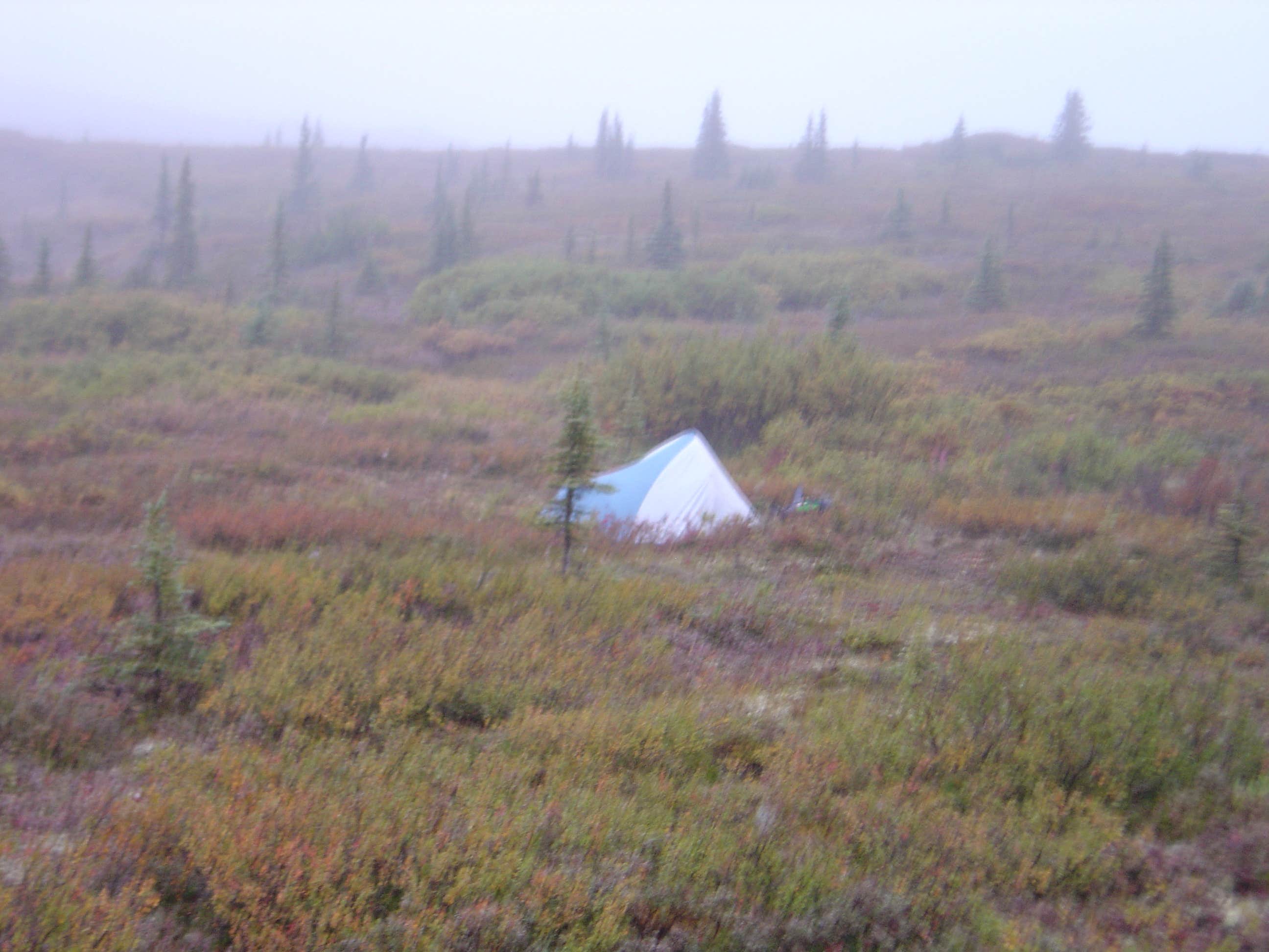 Eric N.'s photo of tent camping at Wonder Lake Campground — Denali National Park near Denali National Park