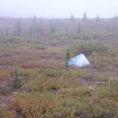 Review photo of Wonder Lake Campground — Denali National Park by Eric N., September 1, 2016