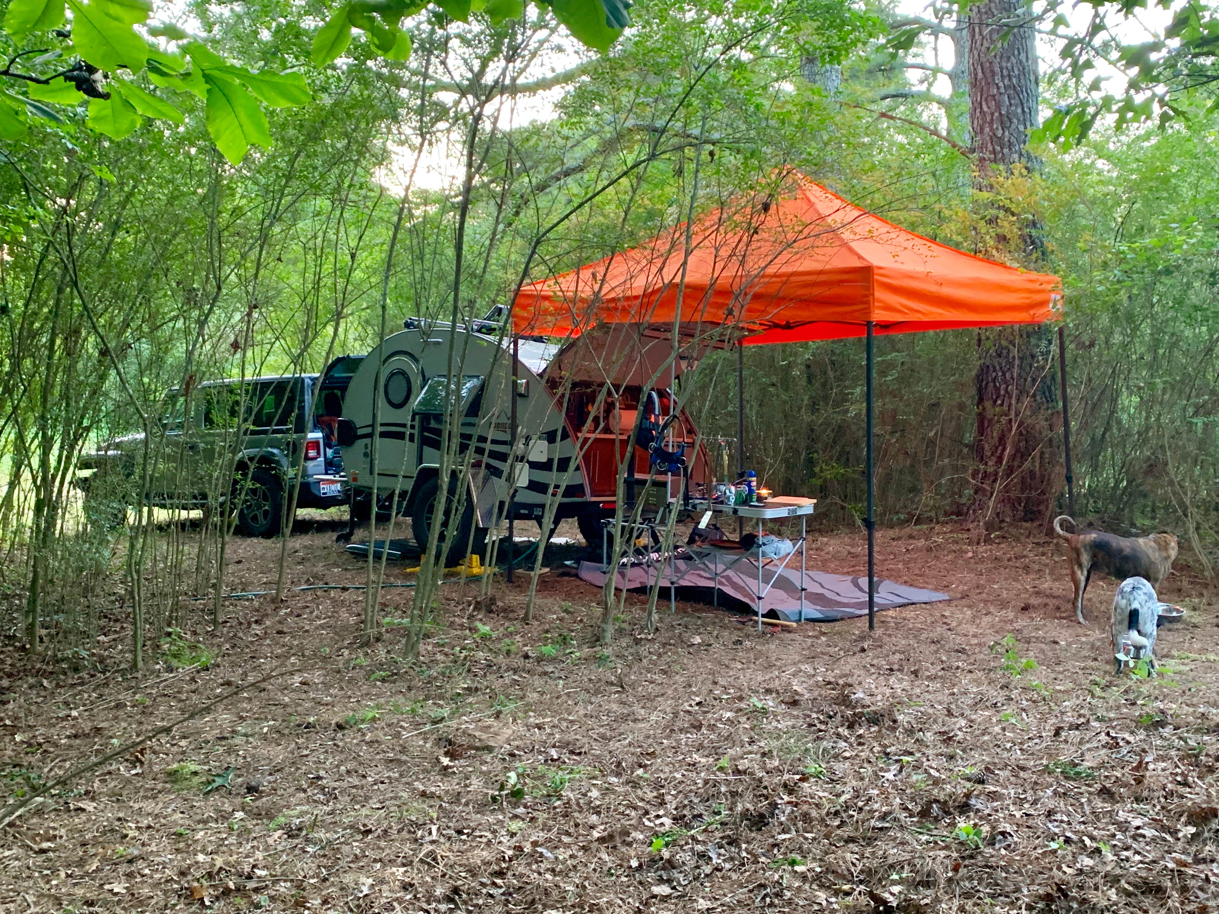 Steve V.'s photo of camping with pets at Tomahawk Campground near Baileyton, AL